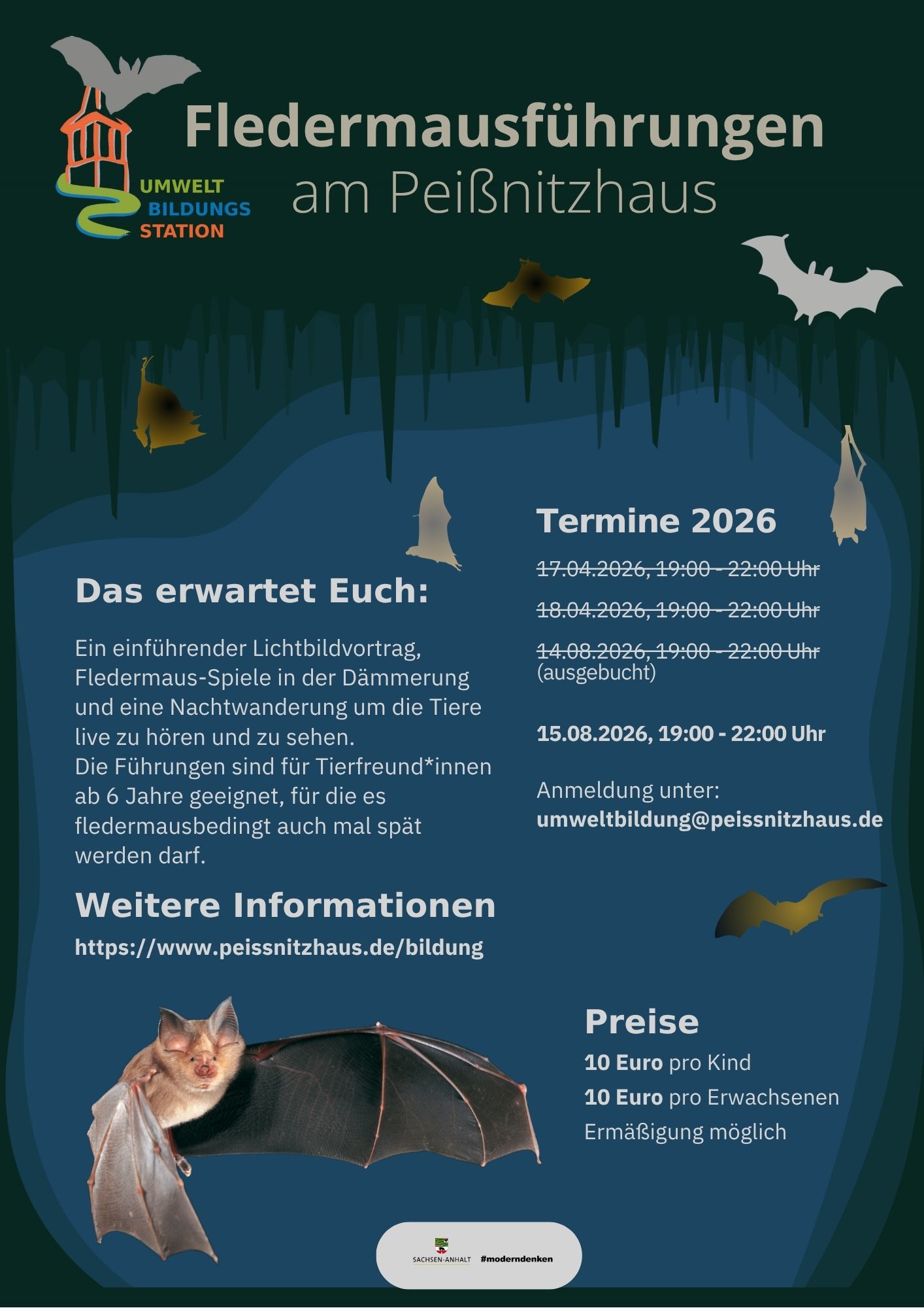 Plakat Fledermausnachte024 2.pdf
