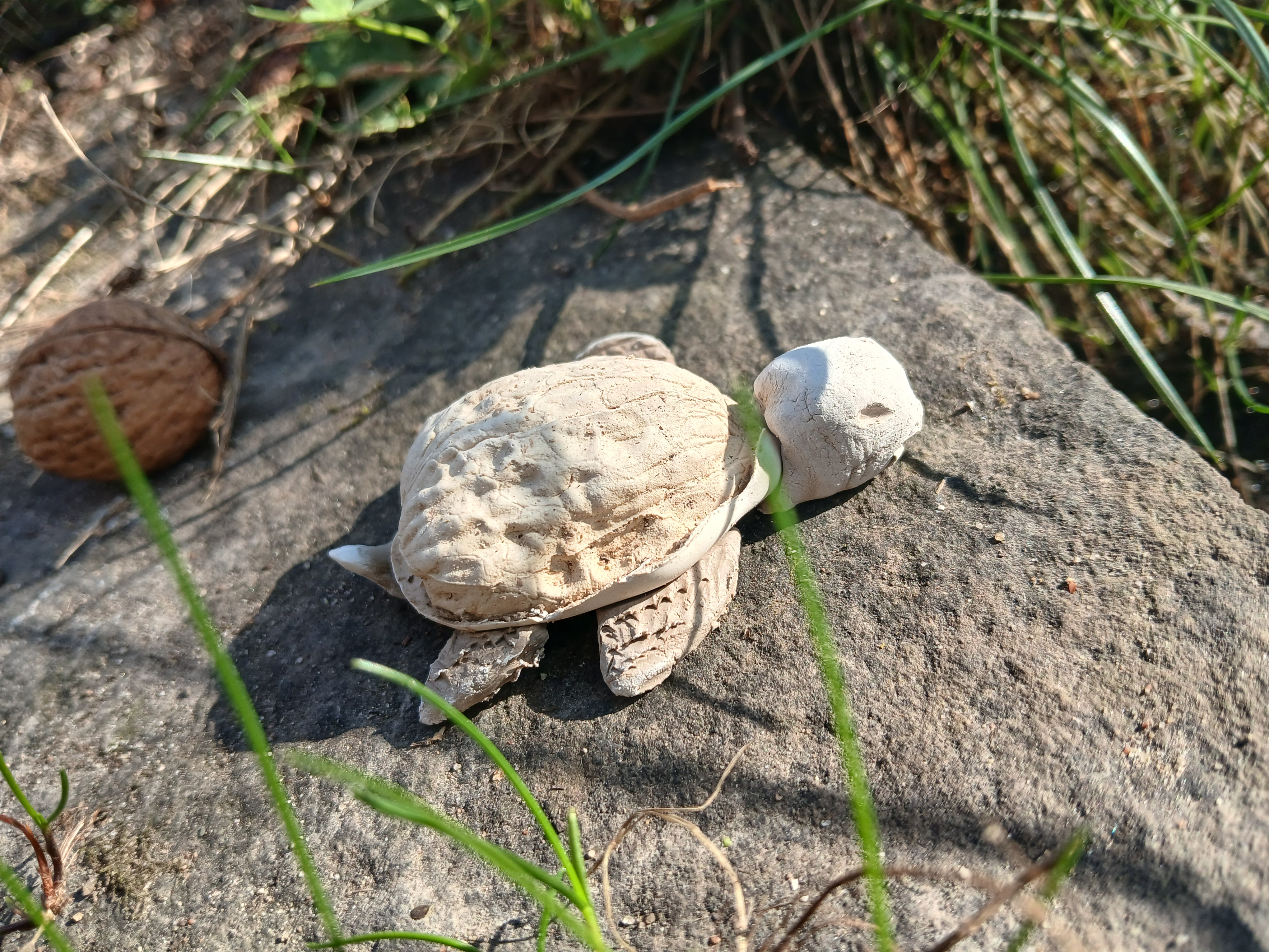 Ton Schildkröte